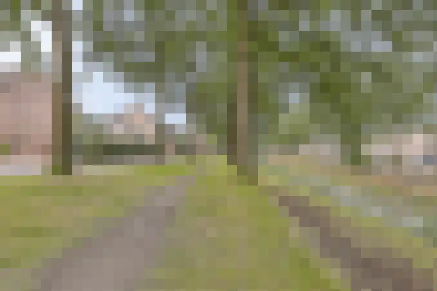 Agaatvlinder 18 Amersfoort thumbnail 4