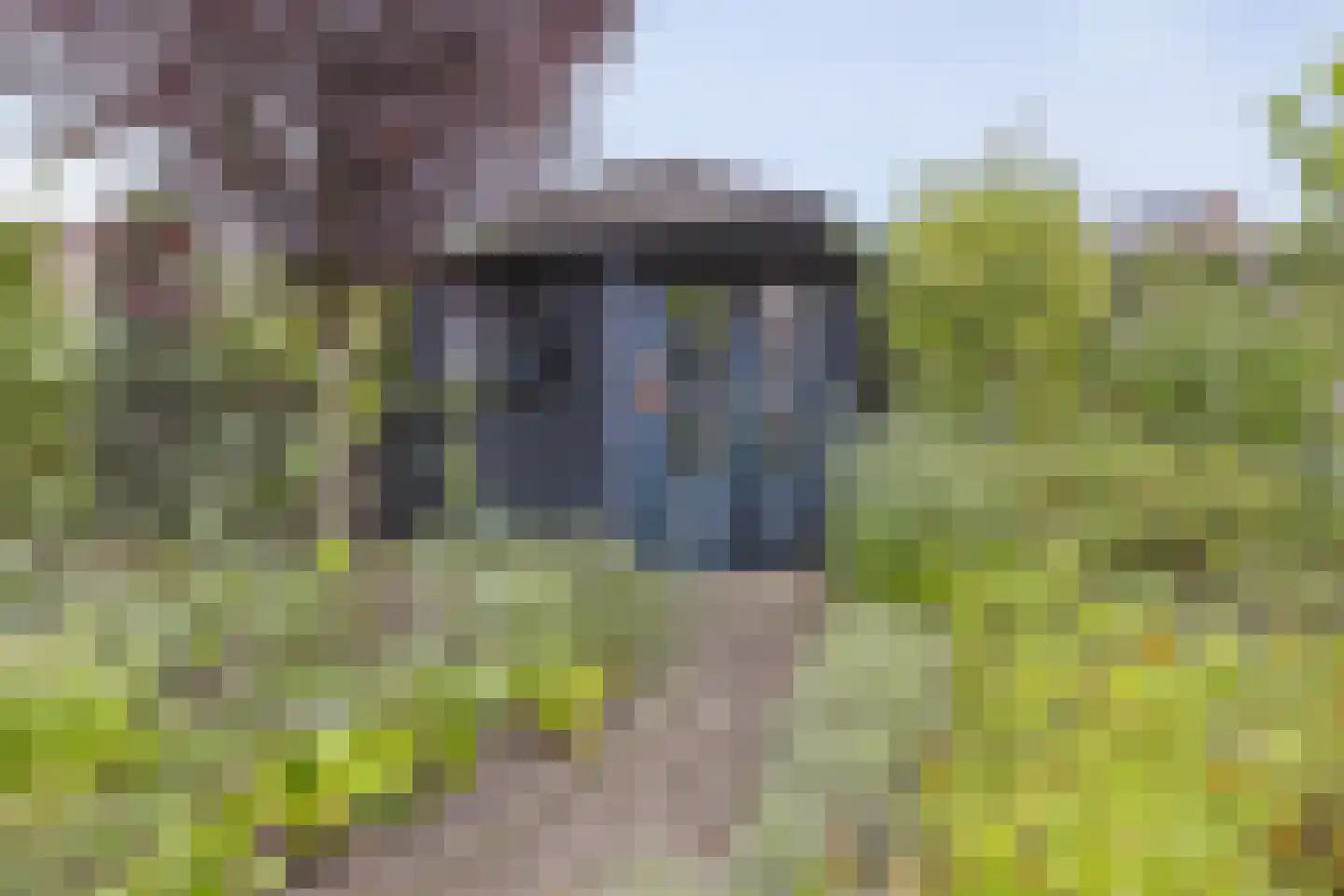 Agaatvlinder 18 Amersfoort thumbnail 40