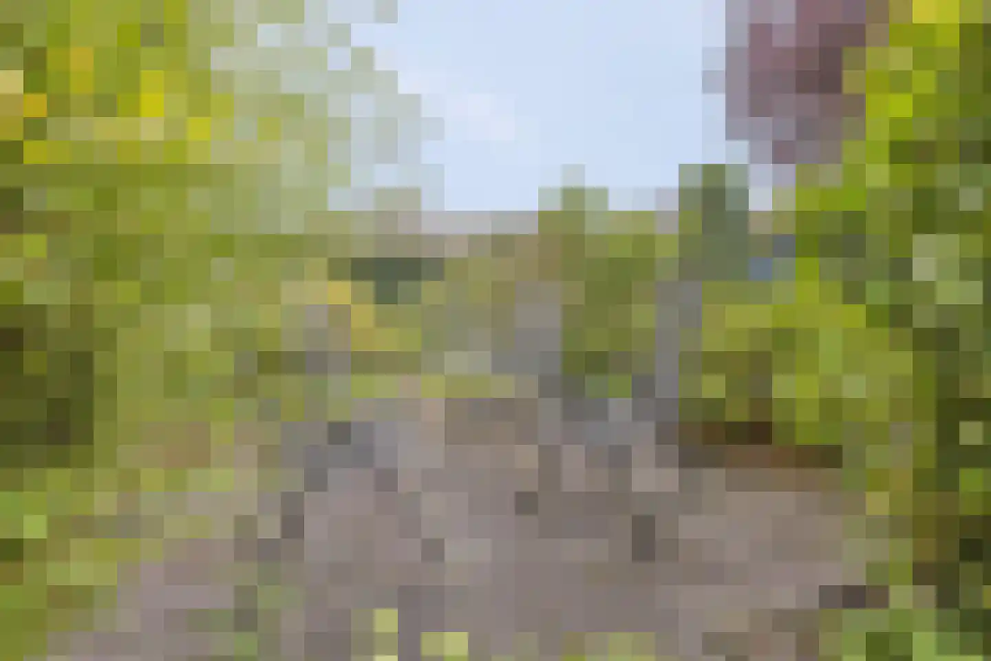 Agaatvlinder 18 Amersfoort thumbnail 42