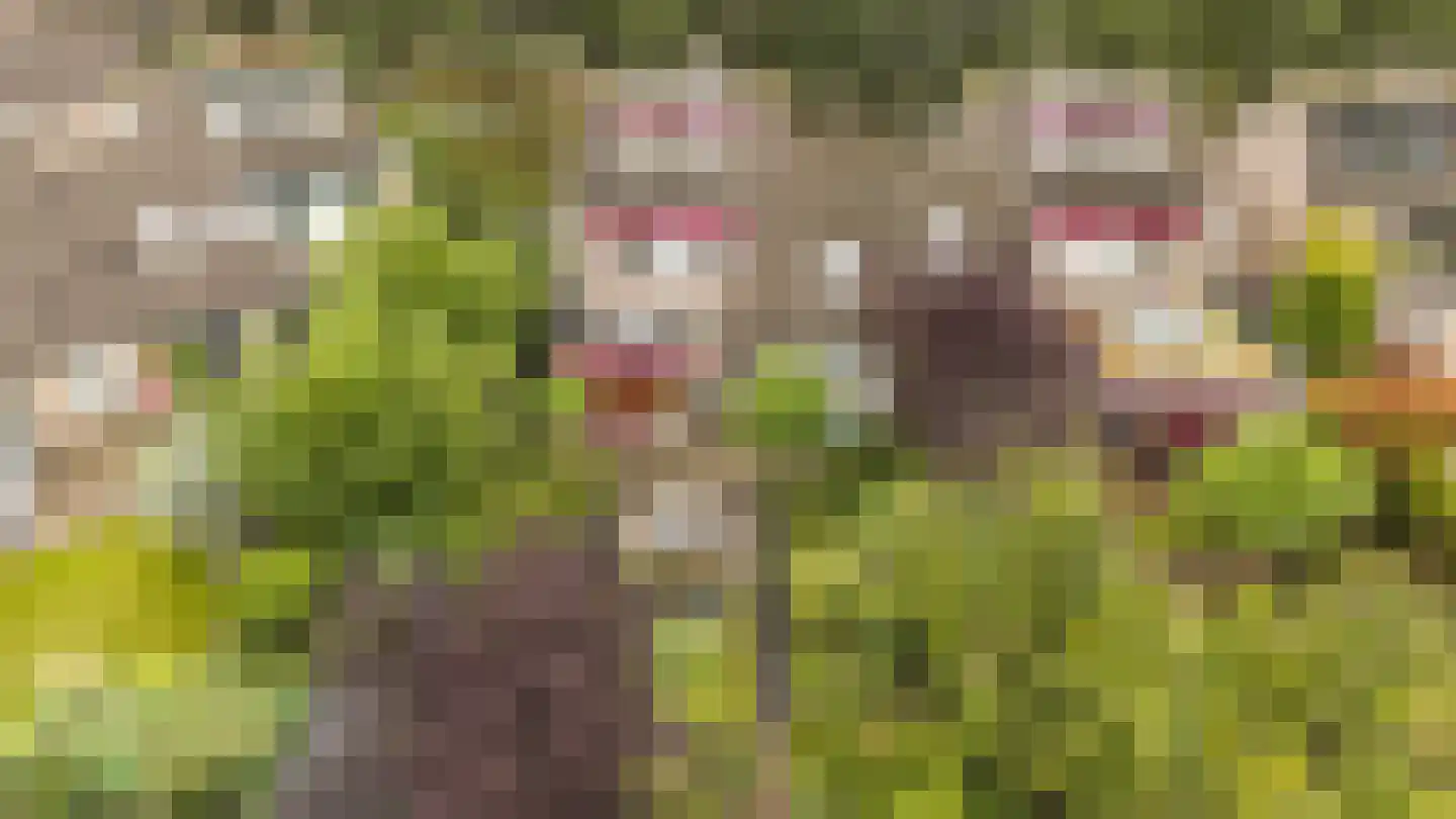 Agaatvlinder 18 Amersfoort thumbnail 44