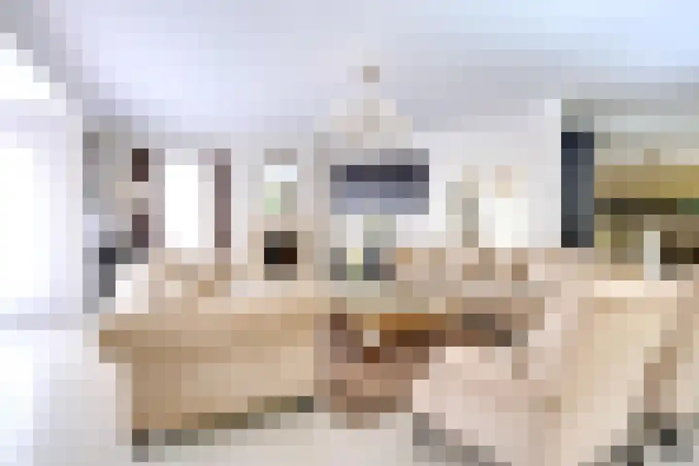 Agaatvlinder 34 Amersfoort thumbnail 13