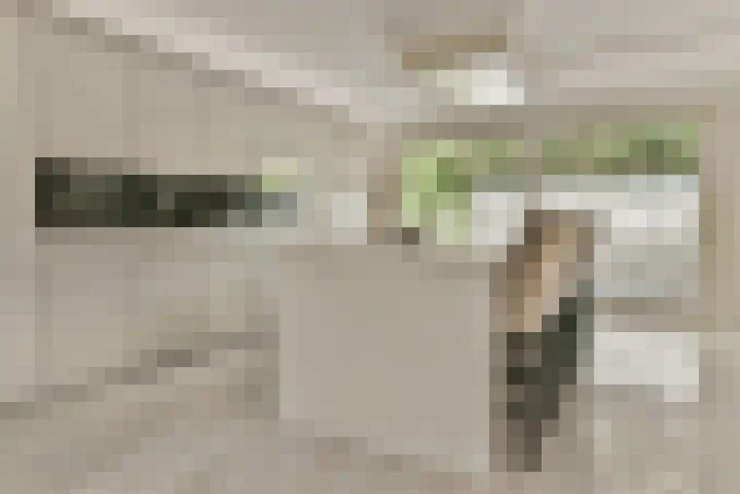 Agaatvlinder 34 Amersfoort thumbnail 14