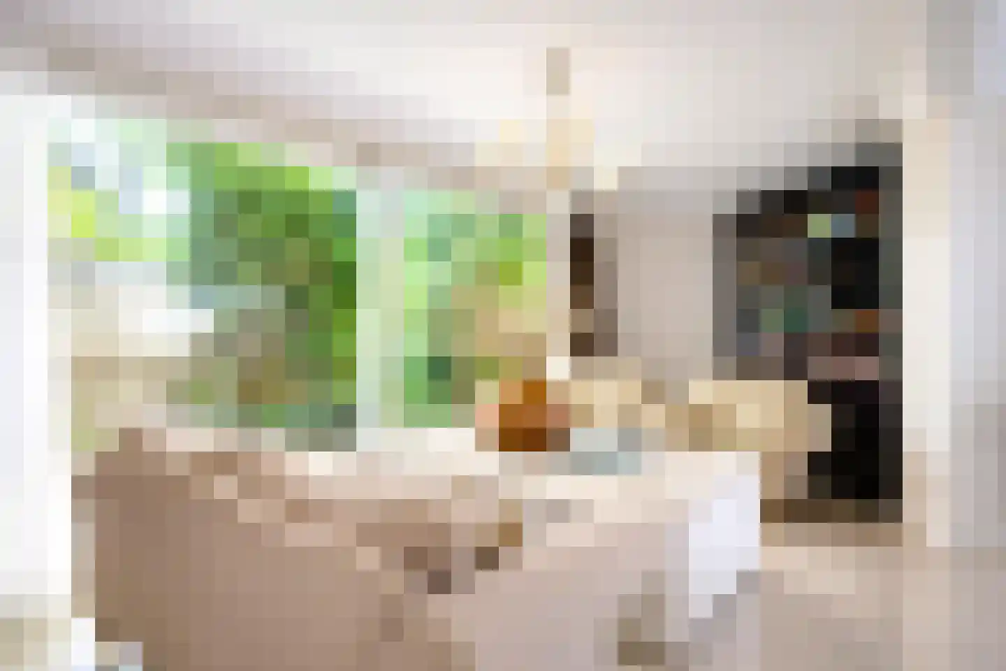 Agaatvlinder 34 Amersfoort thumbnail 14