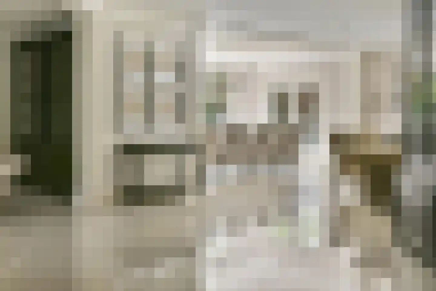 Agaatvlinder 34 Amersfoort thumbnail 18