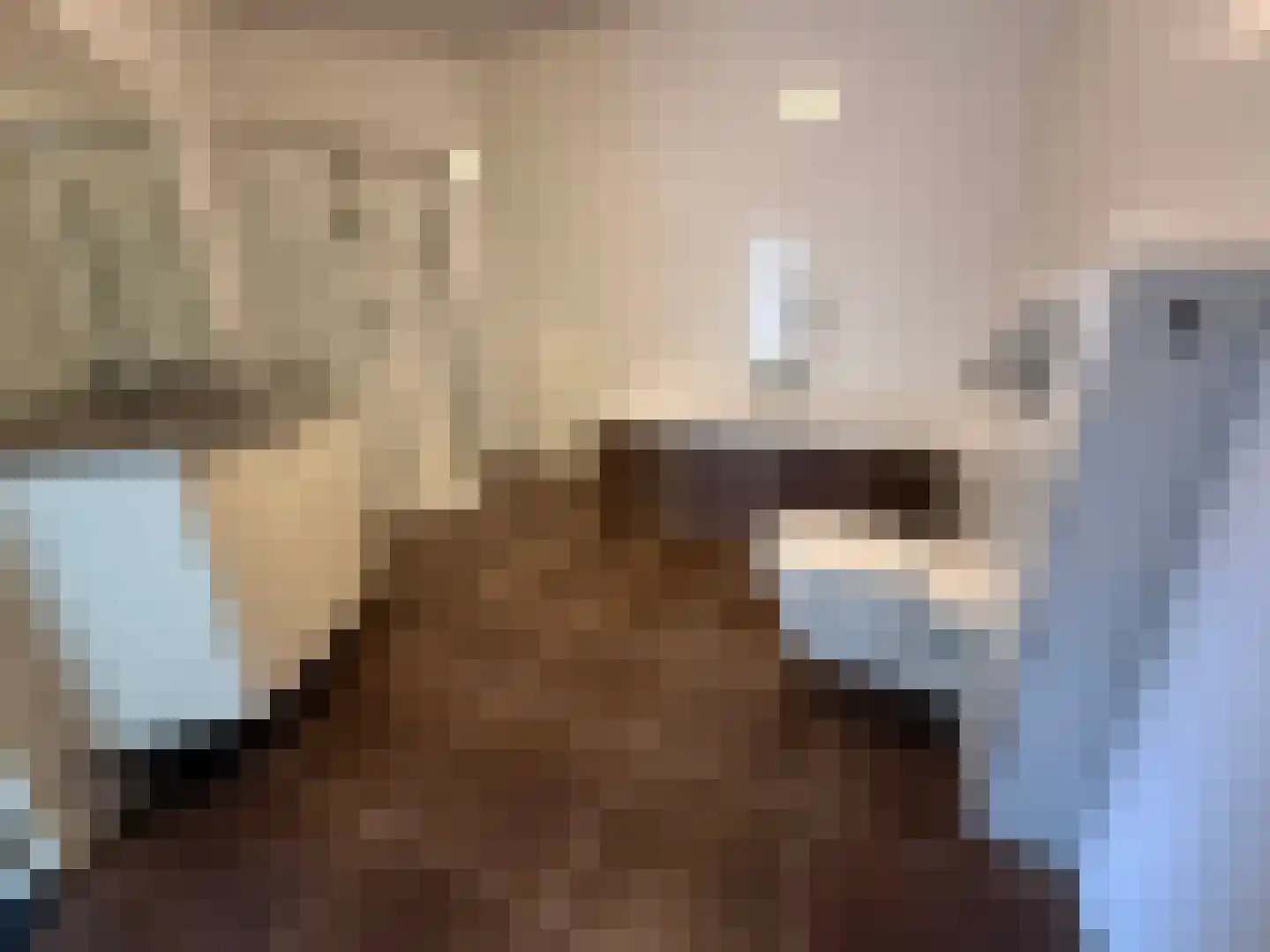 Agaatvlinder 34 Amersfoort thumbnail 23