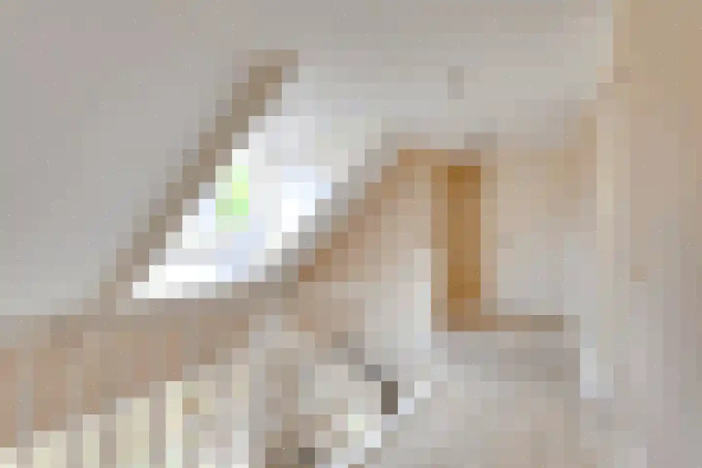 Agaatvlinder 34 Amersfoort thumbnail 24