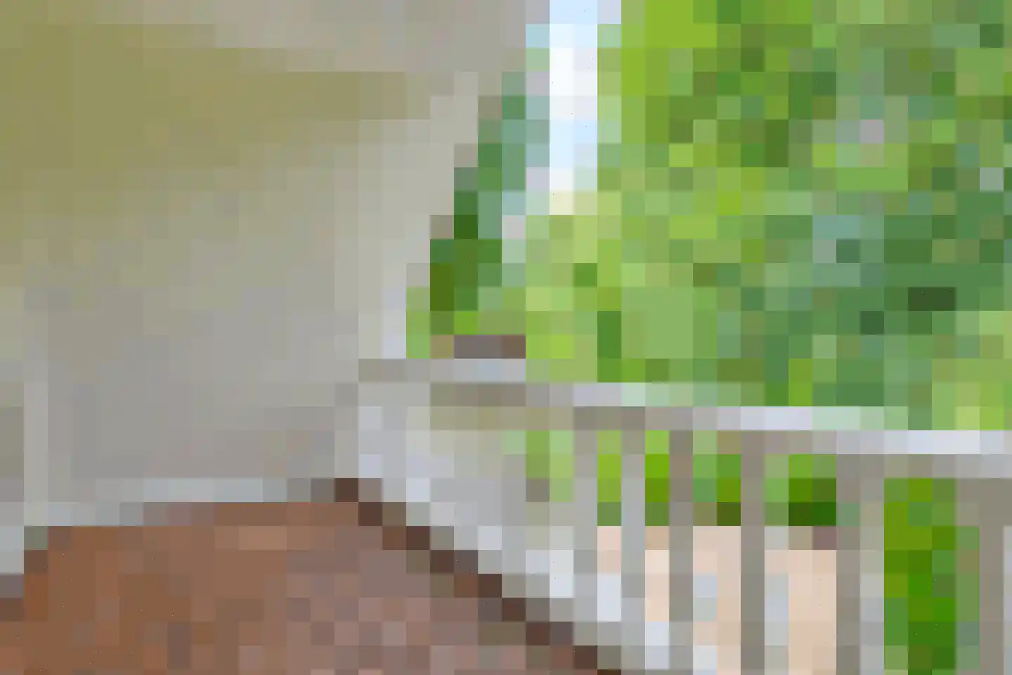 Agaatvlinder 34 Amersfoort thumbnail 26