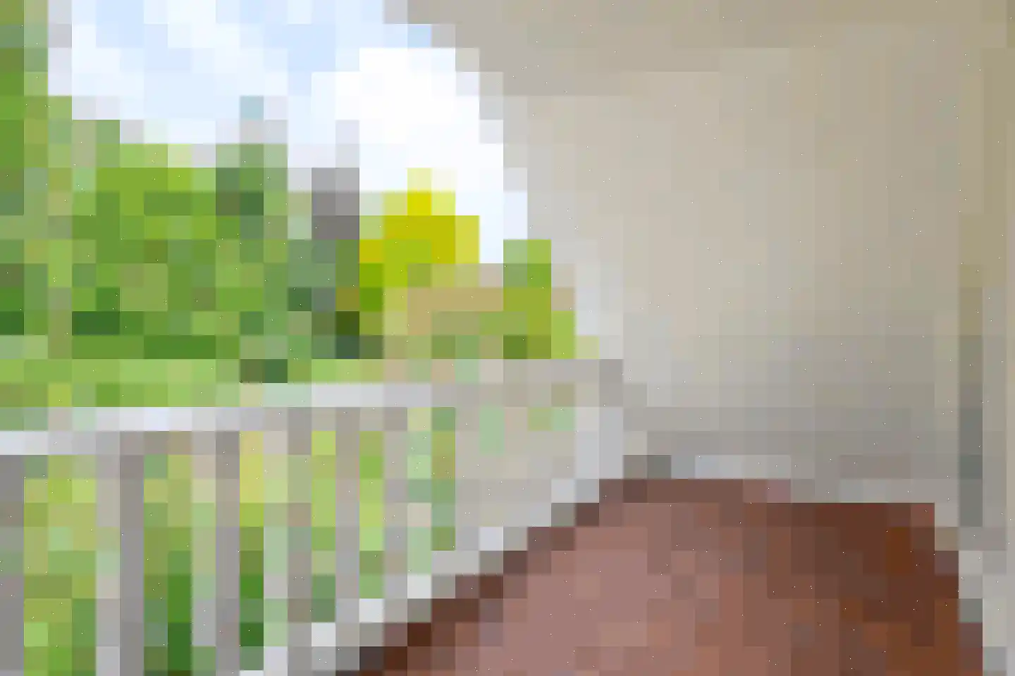 Agaatvlinder 34 Amersfoort thumbnail 27