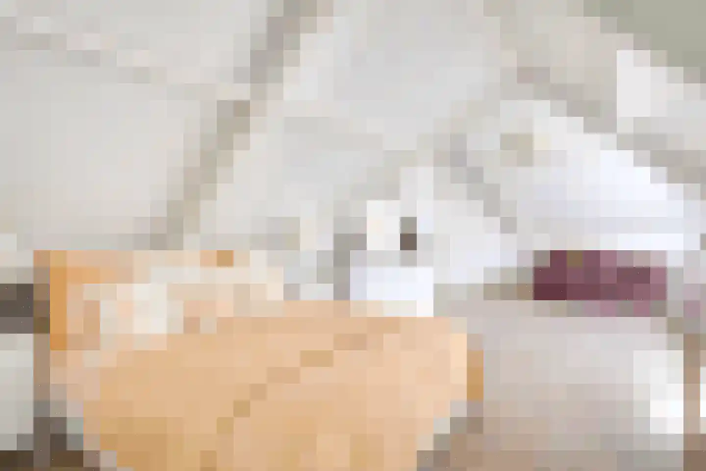 Agaatvlinder 34 Amersfoort thumbnail 28