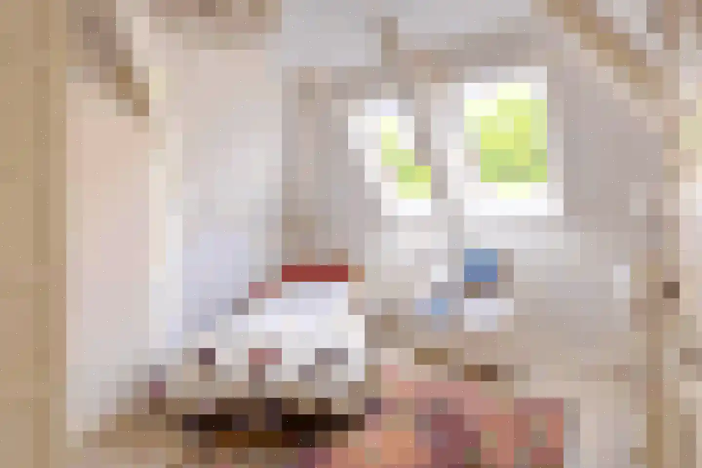 Agaatvlinder 34 Amersfoort thumbnail 28