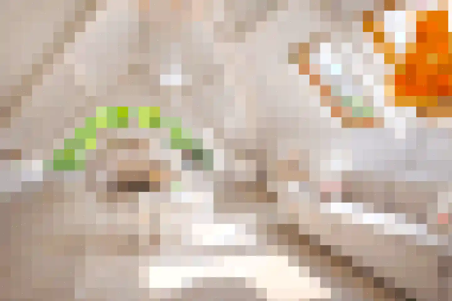 Agaatvlinder 34 Amersfoort thumbnail 33