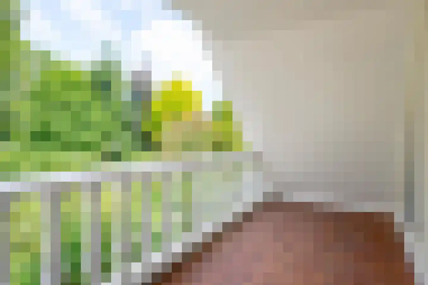 Agaatvlinder 34 Amersfoort thumbnail 35