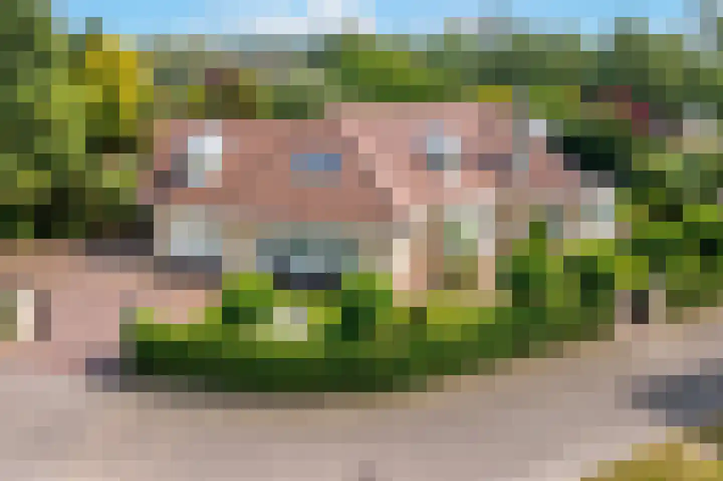 Agaatvlinder 34 Amersfoort thumbnail 37