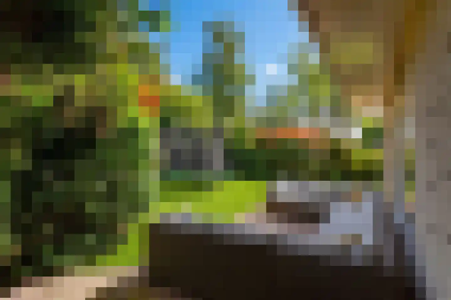 Agaatvlinder 34 Amersfoort thumbnail 38
