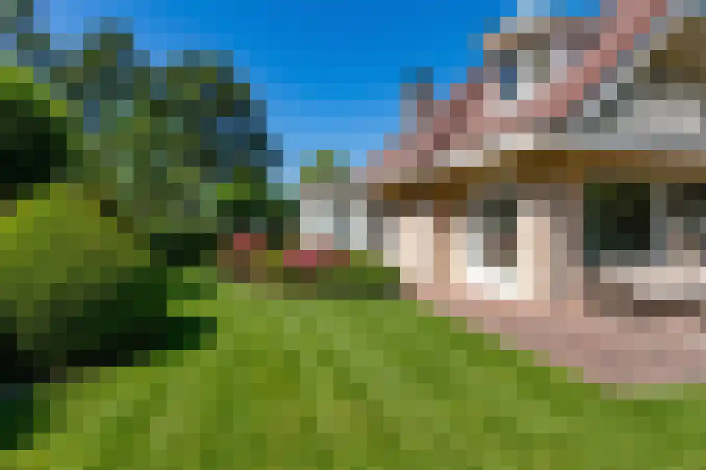 Agaatvlinder 34 Amersfoort thumbnail 39