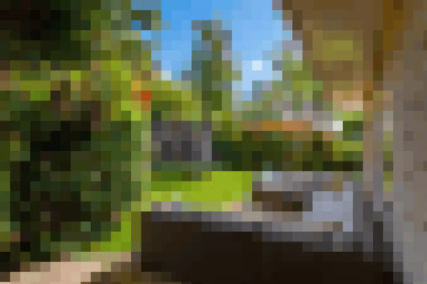Agaatvlinder 34 Amersfoort thumbnail 40