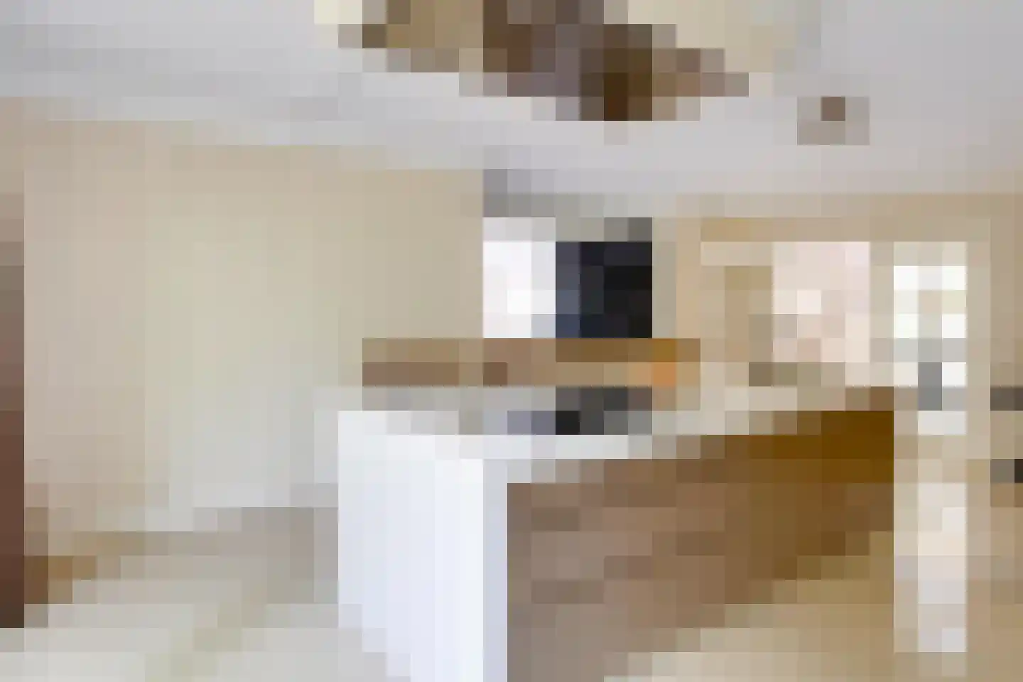 Agaatvlinder 34 Amersfoort thumbnail 5