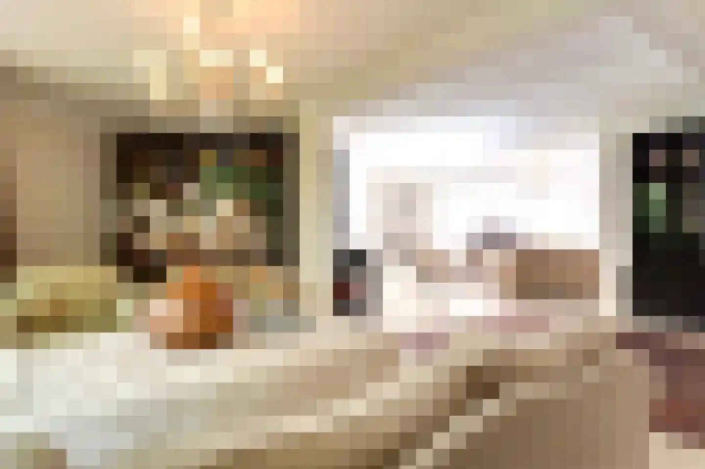 Agaatvlinder 34 Amersfoort thumbnail 6
