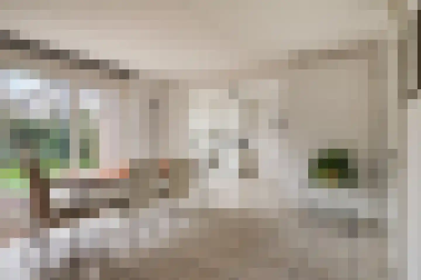 Agaatvlinder 46 Amersfoort thumbnail 11