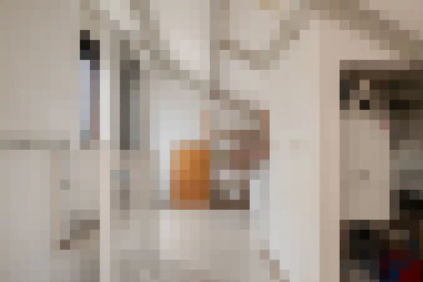 Agaatvlinder 46 Amersfoort thumbnail 25