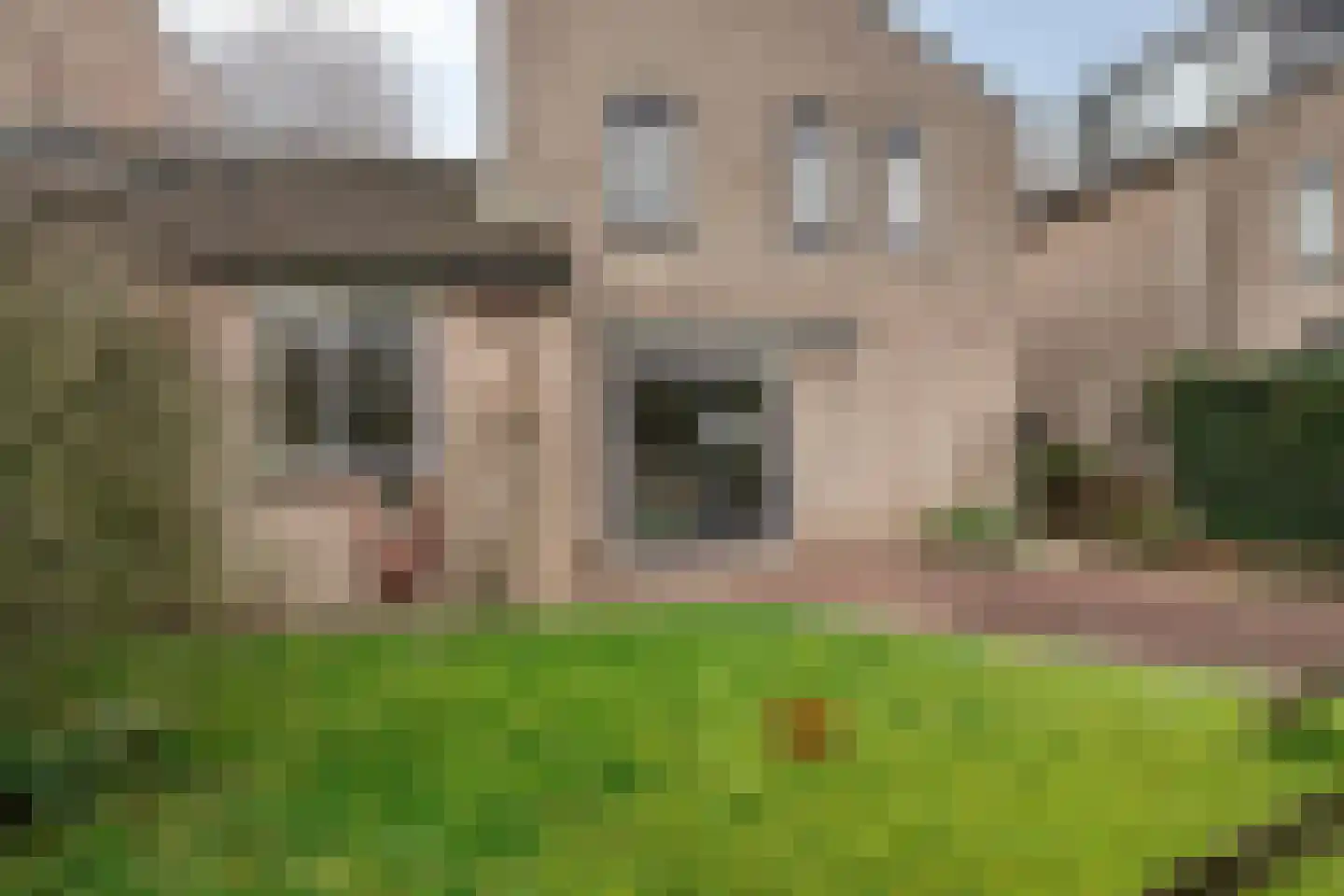 Agaatvlinder 46 Amersfoort thumbnail 4