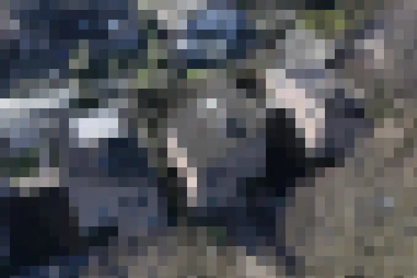 Agaatvlinder 46 Amersfoort thumbnail 5