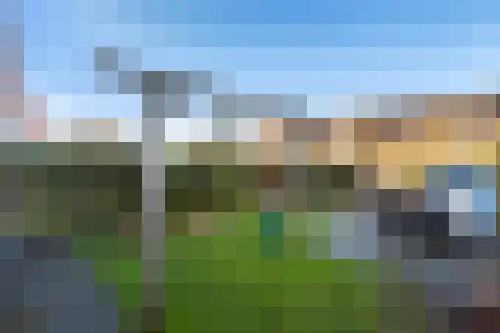 Agaatvlindersingel 10 Utrecht thumbnail 10