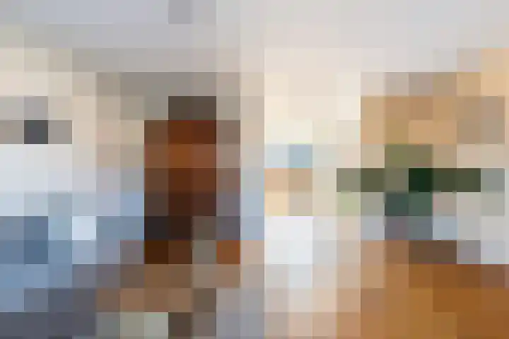 Agaatvlindersingel 10 Utrecht thumbnail 14