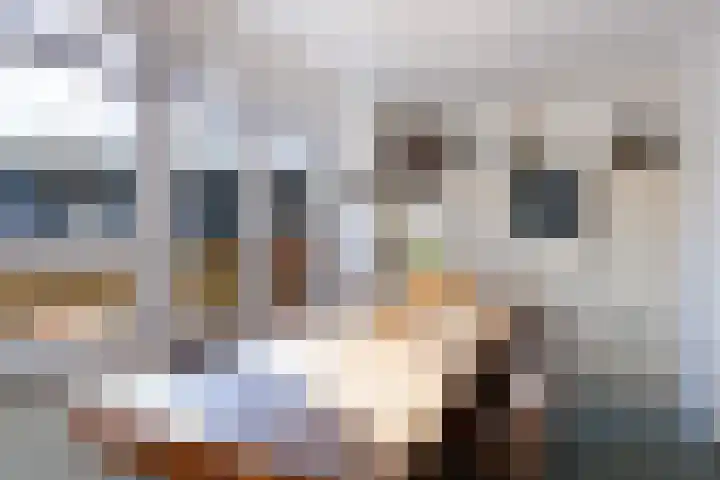 Agaatvlindersingel 10 Utrecht thumbnail 16