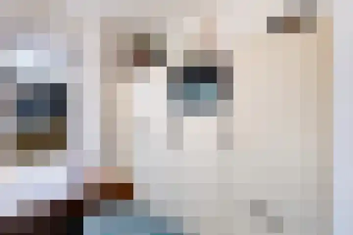 Agaatvlindersingel 10 Utrecht thumbnail 17