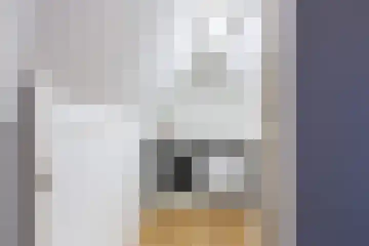 Agaatvlindersingel 10 Utrecht thumbnail 33