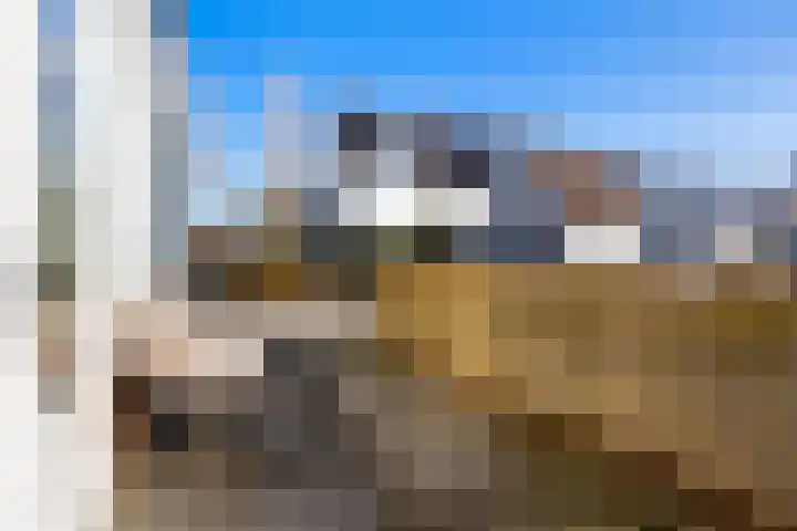 Agaatvlindersingel 10 Utrecht thumbnail 36