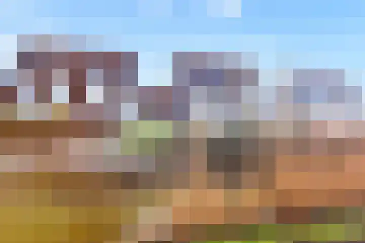 Agaatvlindersingel 10 Utrecht thumbnail 39