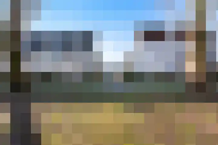 Agaatvlindersingel 10 Utrecht thumbnail 41