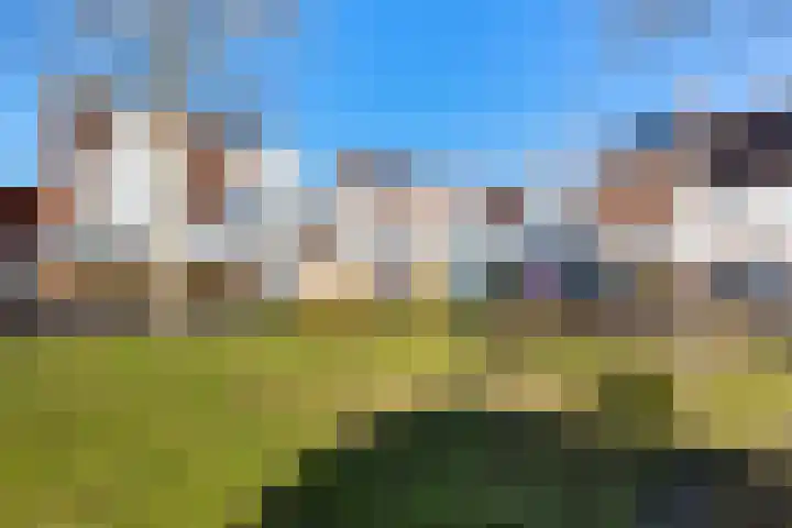 Agaatvlindersingel 10 Utrecht thumbnail 42