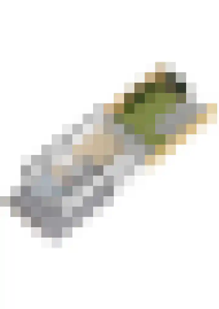 Agaatvlindersingel 10 Utrecht thumbnail 55