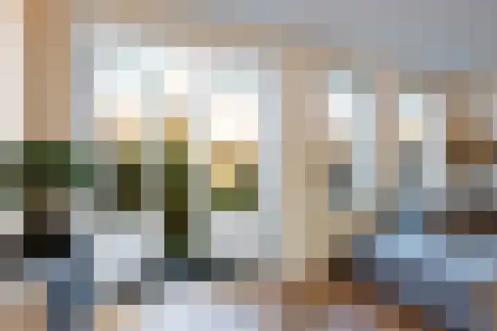 Agaatvlindersingel 10 Utrecht thumbnail 8