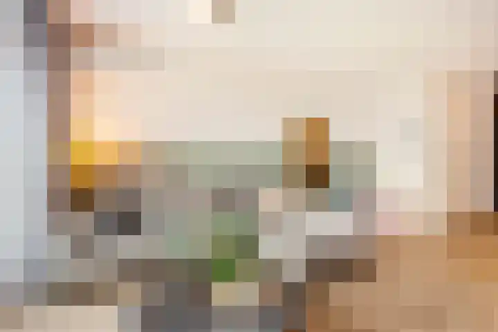 Agaatvlindersingel 78 Utrecht thumbnail 14