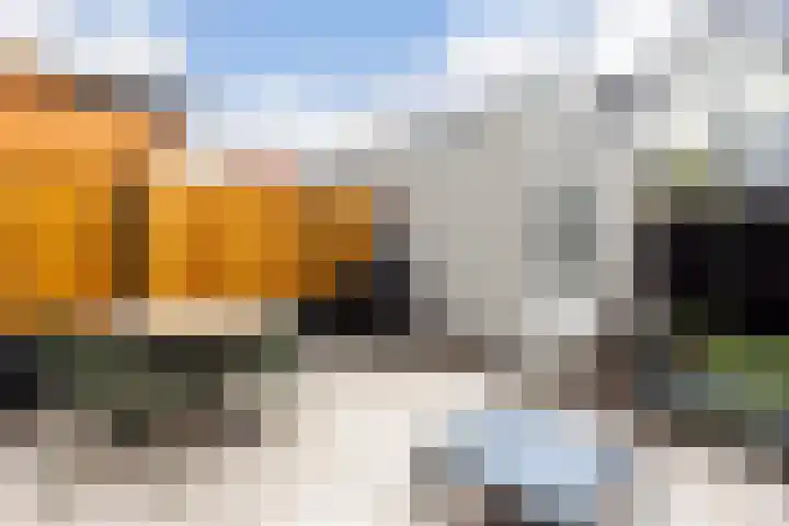 Agaatvlindersingel 78 Utrecht thumbnail 18
