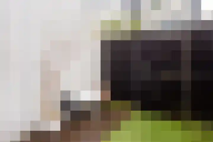 Agaatvlindersingel 78 Utrecht thumbnail 21