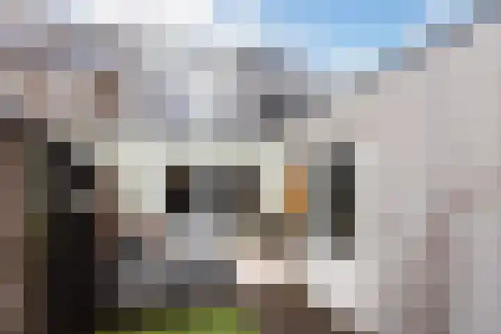 Agaatvlindersingel 78 Utrecht thumbnail 22