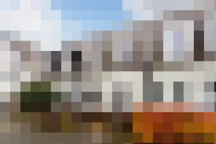 Agaatvlindersingel 78 Utrecht thumbnail 4