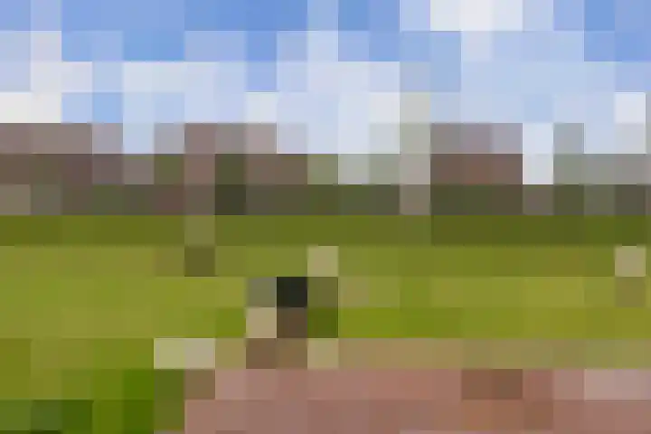 Agaatvlindersingel 78 Utrecht thumbnail 41