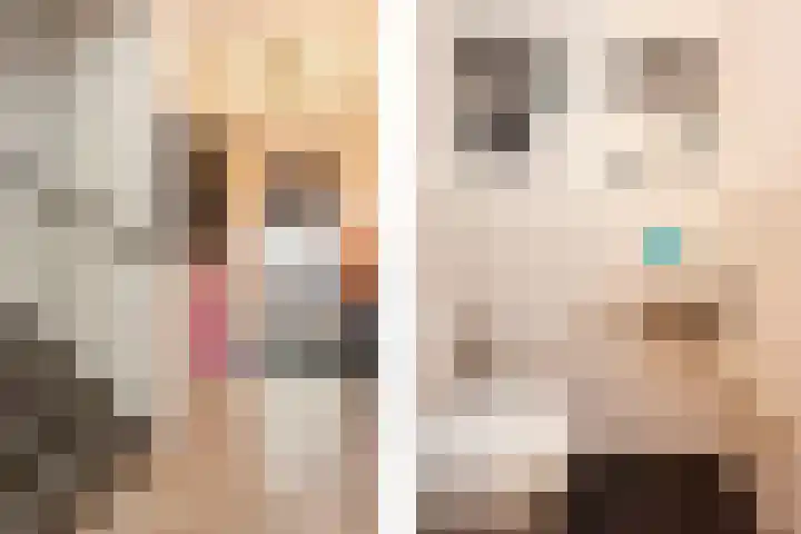 Agaatvlindersingel 78 Utrecht thumbnail 5