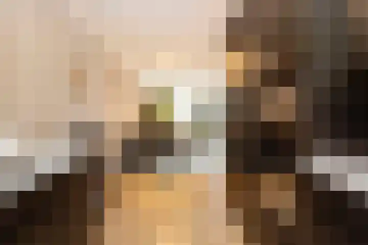 Agaatvlindersingel 78 Utrecht thumbnail 8