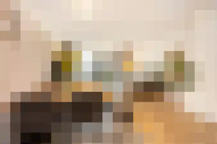 Agaatvlindersingel 78 Utrecht thumbnail 9