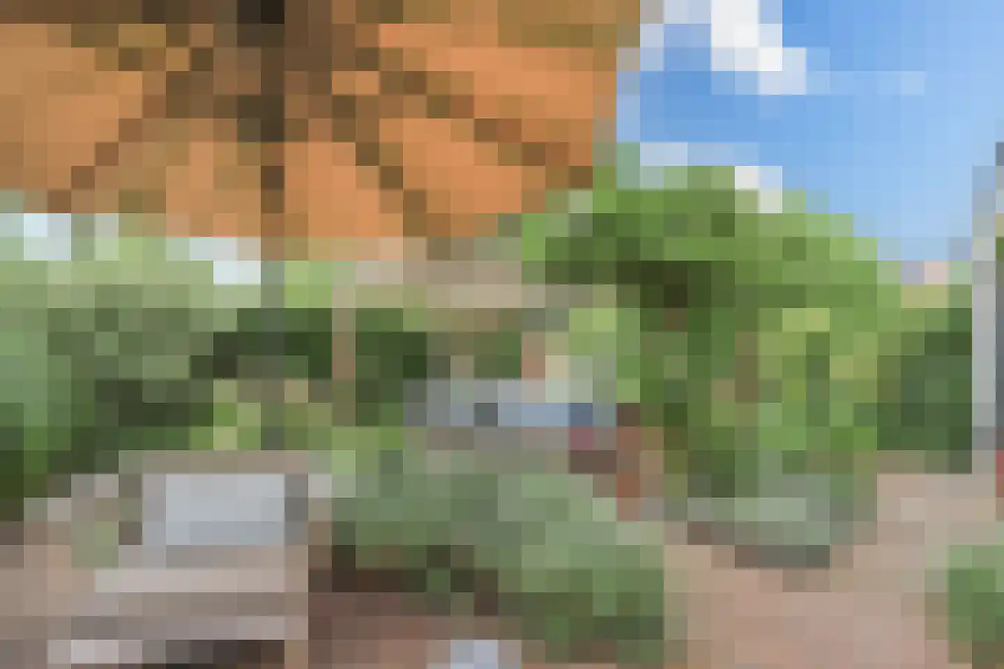 Agaatvlindersingel 97 Utrecht thumbnail 20
