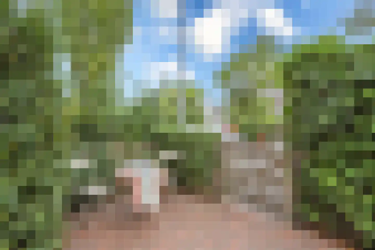 Agaatvlindersingel 97 Utrecht thumbnail 39