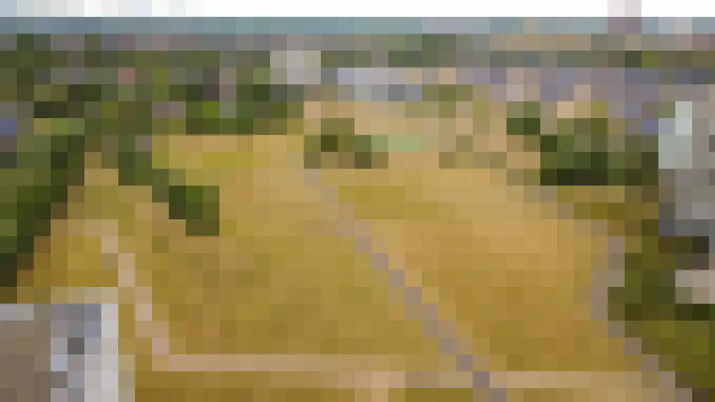 Agaatvlindersingel 97 Utrecht thumbnail 53