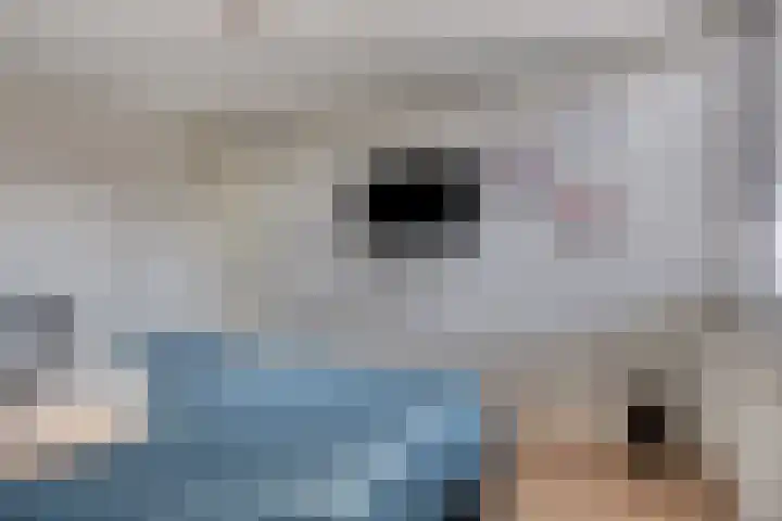 Agamemnonlaan 10 Eindhoven thumbnail 16